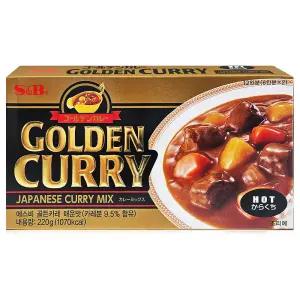 에스앤비 골든카레 매운맛 220g 1개
