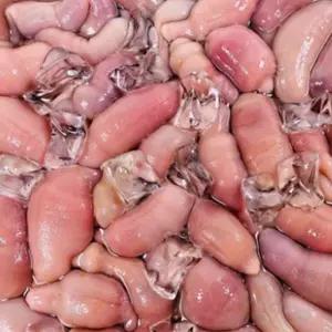 개불 미끼 바다 낚시 밑밥 낚시용 대물 감성돔 미끼 10미