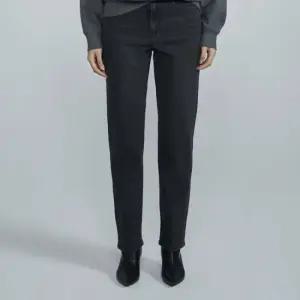 여성 스트레이트 블랙진 B225DP623P)