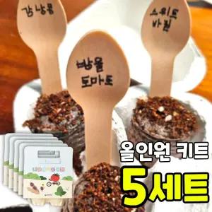5세트묶음 씨앗심기 3종 올인원 키트 방울토마토 바질 강낭콩 식물 키우기 유치원 어린이집 원예활동