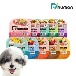 [48팩] 굽네 듀먼 자연화식 100g 혼합세트