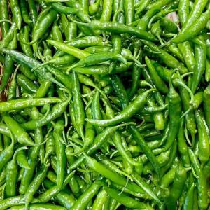 국내산 청양고추 상 10kg