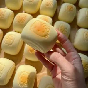 모든 고양이 빵 스퀴시 모찌인형 스트레스 해소 선물템 슬로우라이징 퐁신 말랑 디저트