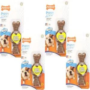 Nylabone 강아지 전용 치킨 맛 씹는 링 본 쁘띠 사이즈 (4팩)