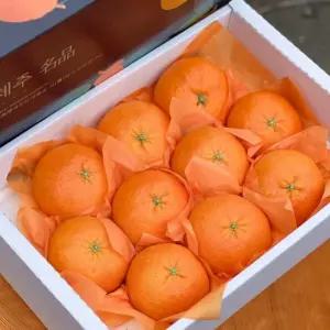 고당도 제주레드향 제주 래드향 레드향 2kg 3kg 가정용 명절 선물세트