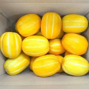 경북 성주참외 못난이 꿀당도 보장 2kg 산지발송