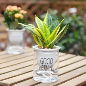 플랜테리어 굿모닝 자동 급수 화분/물공급/자동화/저면/관수/시스템/키트/급수기/물주기/스마트/수경/재배