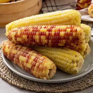 찐 백찰옥수수 10개 20개 30개/특대15-18cm/급냉/벌크