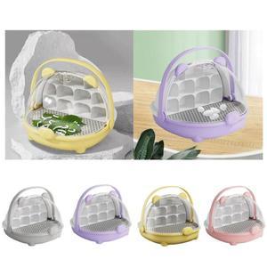 누에 사육 상자 관찰 캐빈 거북이 용이