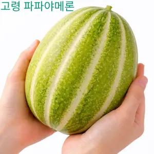 [경북 고령] 파파야메론 5kg (7-15과) (3~4월에만 만나는 제철과일)