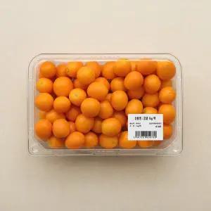 금귤 1kg 팩
