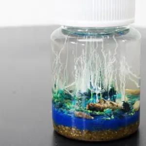 아쿠아 화학 정원만들기(5인)/규산염 해저지층 모형 키트/DIY 과학kit