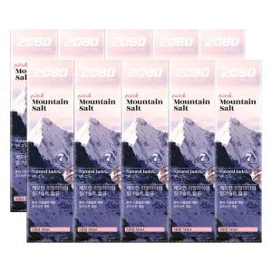 애경 2080 퓨어 마운틴 핑크솔트 치약 마일드민트향 120g 10개