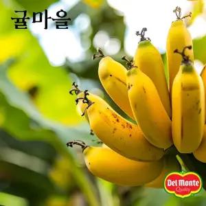 귤마을 달콤한 델몬트 바나나 2.6kg 내외(2송이)