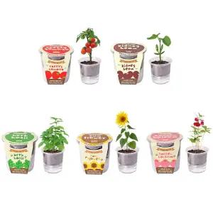 자동급수 저면관수 식물재배기 5종 씨앗 화분 세트미니 인테리어 거실 실내 사무실 소형 키우기쉬운 집들이