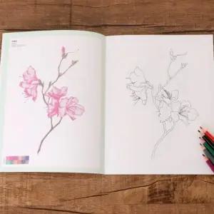 어르신 색칠공부도안컬러링노트 컬북세트 컬책 취미컬북 놀이 공부 수채화그림 드로잉 그리기 컬도서 꽃그