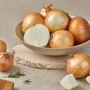 국내산 햇양파 10kg 20kg 대사이즈 2025년산 신선양파