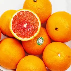 카라카라 오렌지 7kg (35-47과내외)