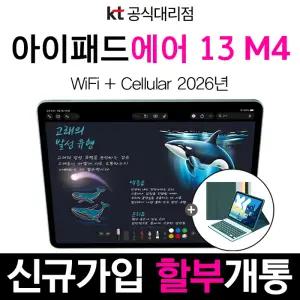 법인 태블릿 아이패드 신형 에어13 M4 512GB 스타라이트 셀룰러 신규가입 분할 결제 개통