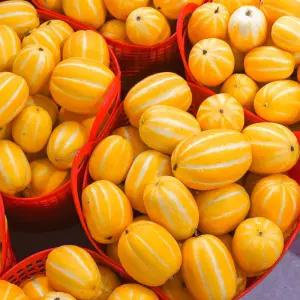 [농장직송] 성주 꿀 참외 [못난이 혼합과/가정용 대과] 2kg 3kg