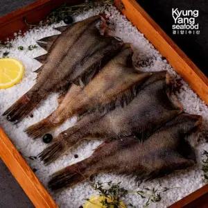 (방송에서만 4팩 더) 국내산 햇 손질 가자미 200g x 14팩 (팩당 2~3미 / 총 28~최대 42미 / 2.8kg)