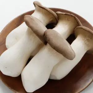 국내산 특품 새송이버섯 프리미엄 특 6kg 당일경매