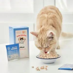 [하프클럽/셀러허브(펫)]닥터펠리스 고양이 유산균 스트레스 락토페린 데일리솔루션 이뮨 30g 1개