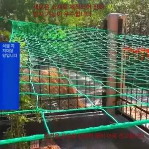 오이망 고추망 호박 텃밭 포도나무 유인망 고추