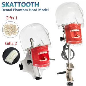 의대생 덴탈 팬텀 헤드 모델 치과 시뮬레이터, 의사 교육 실습 훈련 기구