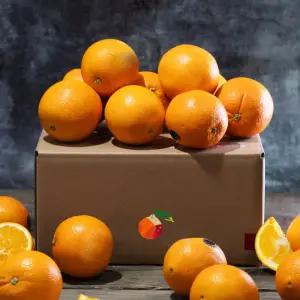 당도선별 블랙라벨 오렌지 소과 40과 7.2kg