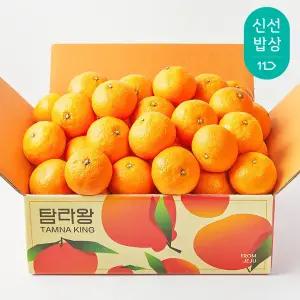 [탐라왕] 제철 카라향 2kg 소과 로얄과