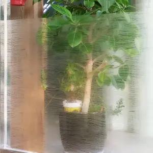 무점착 유리창시트지 소프트웨이브 GD-NWS11 1m x 1m