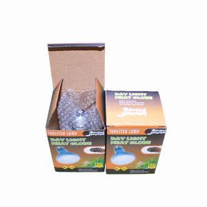 파충고 캐러밴 UVA 육지거북이 달팽이키우기 레온 랜턴 소라게