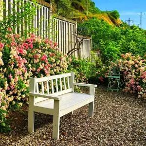 야외 정원 벤치 인테리어 의자 나무 야외용 안뜰 공원 공원벤치 카페 테이블 테라스 학교