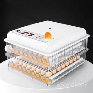 병아리 부화기 자동 조절기 닭알 대비 실험용 유정란 미니 용품 12알 뒤집기 습도조절
