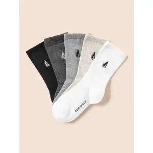 [국내정품] 빈폴키즈 [BEANPOLE KIDS] 베이직 양말 5족 세트 화이트 (BI57KTU051) 키즈 아동 양말