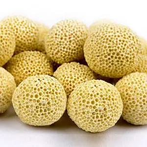 어항 수질관리 저면 상면 여과재 망 박테리아볼 420g