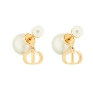 MUST IT_디올 Dior Tribales 귀걸이 E3366WOMRS_D301