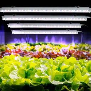 국내산 LED 식물 재배등 4개 풀세트 실내용 인공조명 베란다 화분 화초 식물성장등 식물등 생장