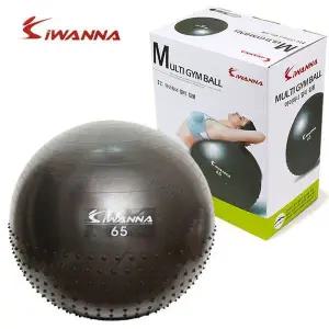 짐볼 멀티 65cm 블랙