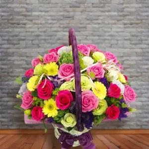 어메이징 키스MTFA024