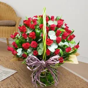 돌체볼로 레드MTFA070