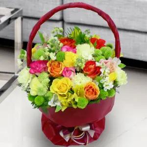 트로피컬 러브MTFA068