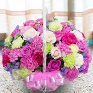 비비드 스위트MTFA064