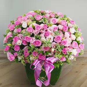 티파니에서 아침을MTFA054