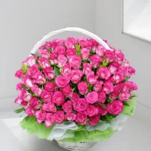 핑크로즈에이드MTFA126