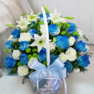 블루밍 인디고MTFA116