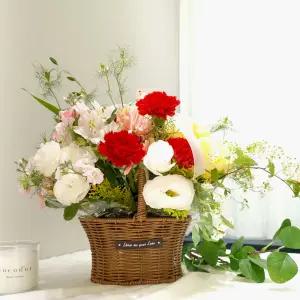 감사와 존경 카네이션 바구니MTFA161