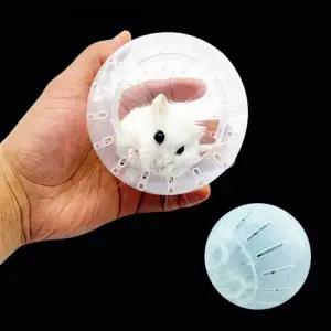 볼 햄스터 햄스터쳇바퀴 헬스 놀이터 다이어트 햄스터