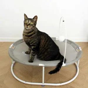 고양이소파 고양이 해먹 방석 대형 꿀잠 뚜또가또 침